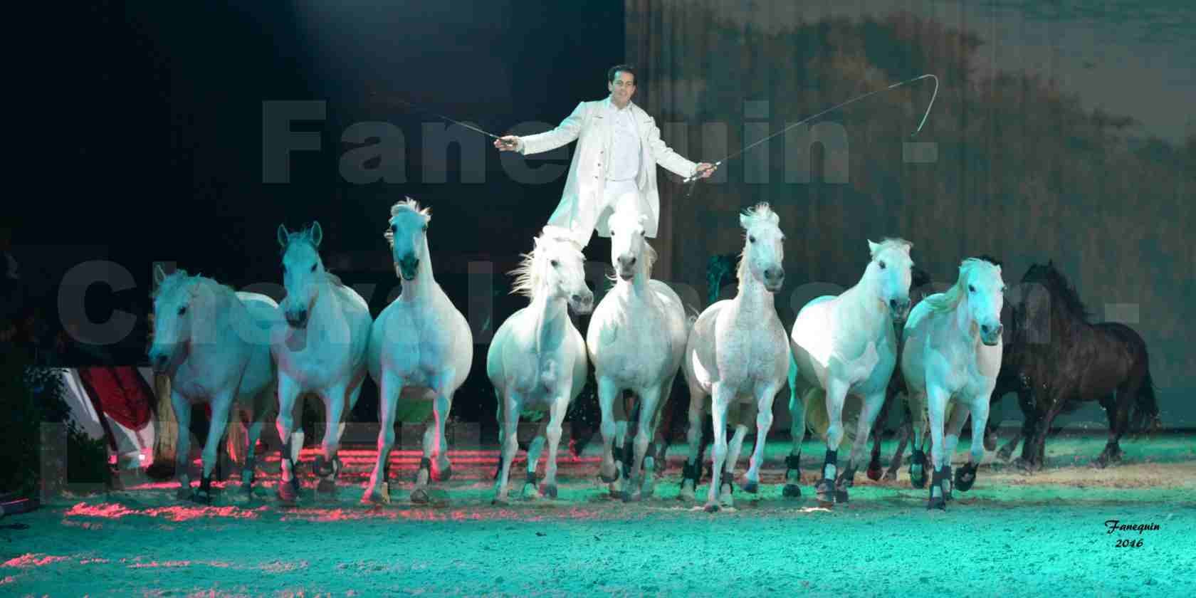 Cheval Passion 2016 - Spectacle les Crinières d'OR - LORENZO "Blanc" - représentation du 23 janvier 2016 - 24