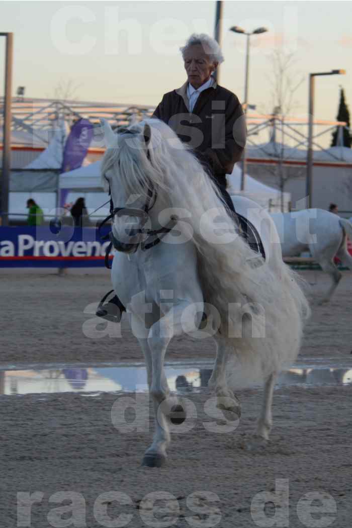 Cheval Passion 2014 - Etalon "GALAN"  blanc écurie Alain LAUZIER - Notre Sélection - 37