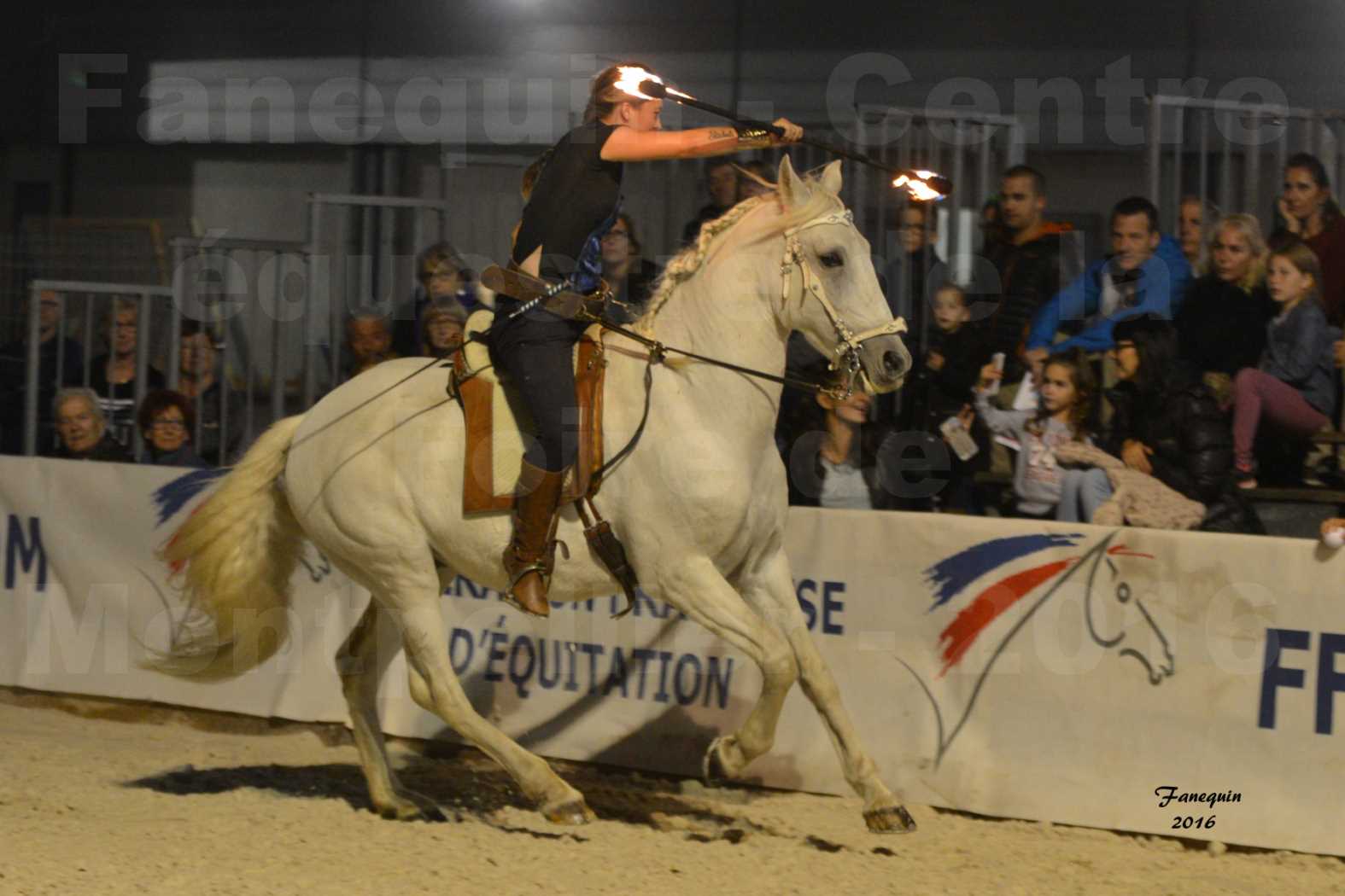 Centre équestre éphémère de la Foire de Montpellier 2016 - Samedi 15 Octobre 2016 - Nocturne - Patchoulie