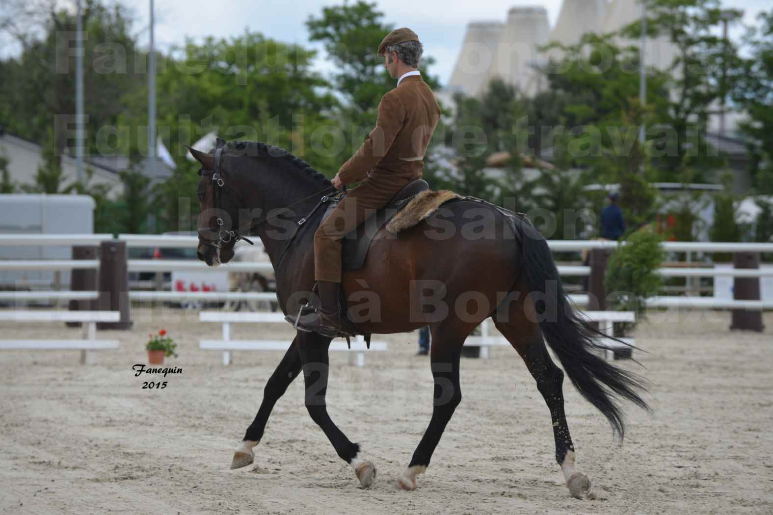 Salon Equitaine de Bordeaux 2015 - Concours d'Equitation de Travail avec chevaux Ibériques - J - 9