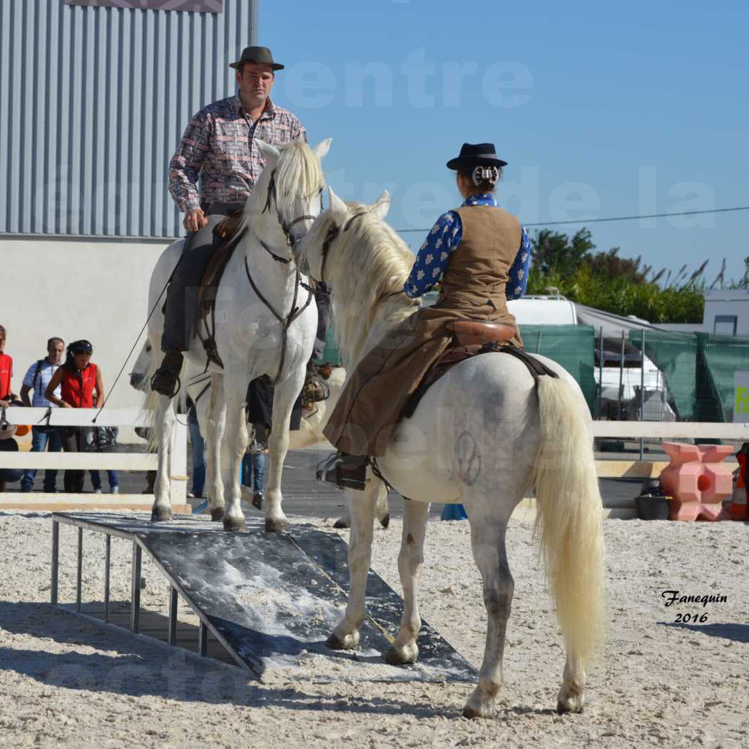 Centre équestre éphémère de la Foire de Montpellier 2016 - Dimanche 09 Octobre 2016 - Cavalières Camarguaises - 1