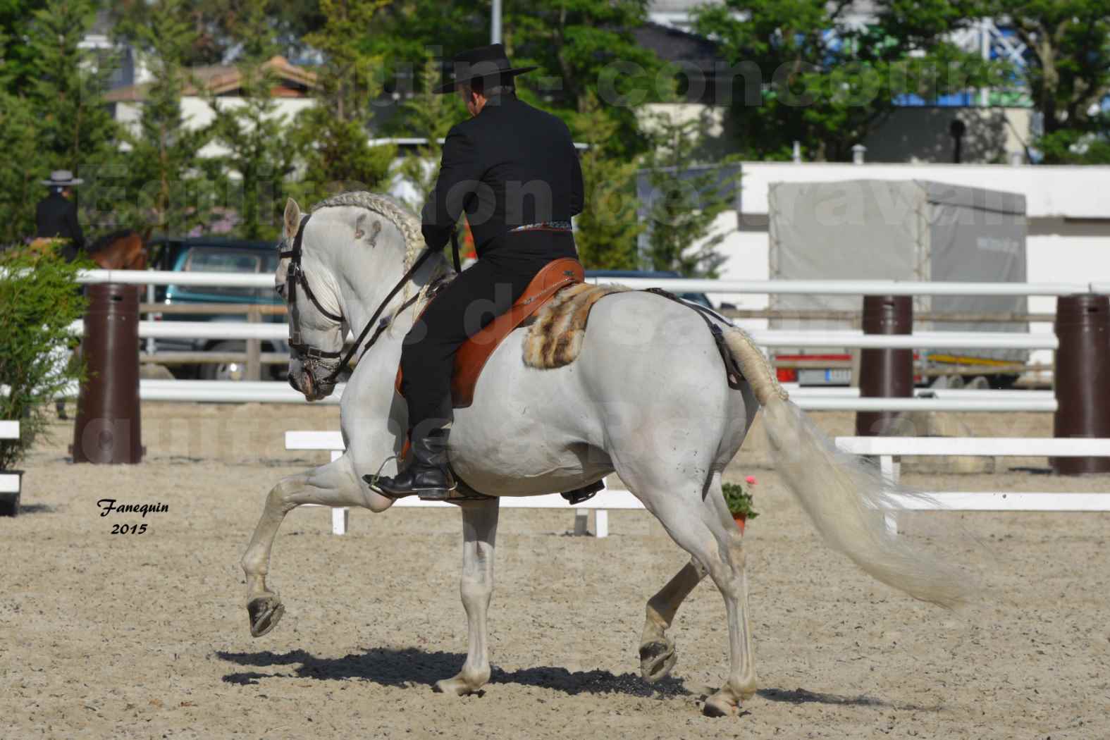 Salon Equitaine de Bordeaux 2015 - Concours d'Equitation de Travail avec chevaux Ibériques - K - 5