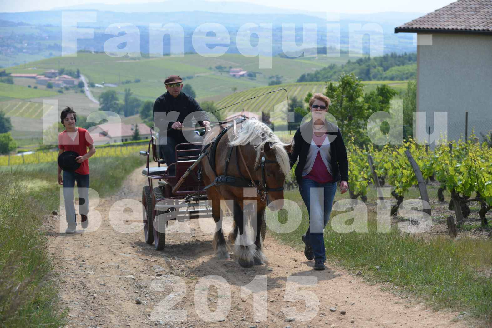 La Route Du Beaujolais 2015 - dimanche 24 mai 2015 - parcours en matinée - deuxième partie - 06