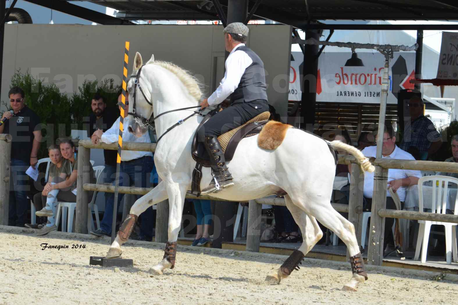 Salon Equitaine de Bordeaux en 2014 - concours Equitation de travail - Épreuve de Maniabilité chronométré - H - 02