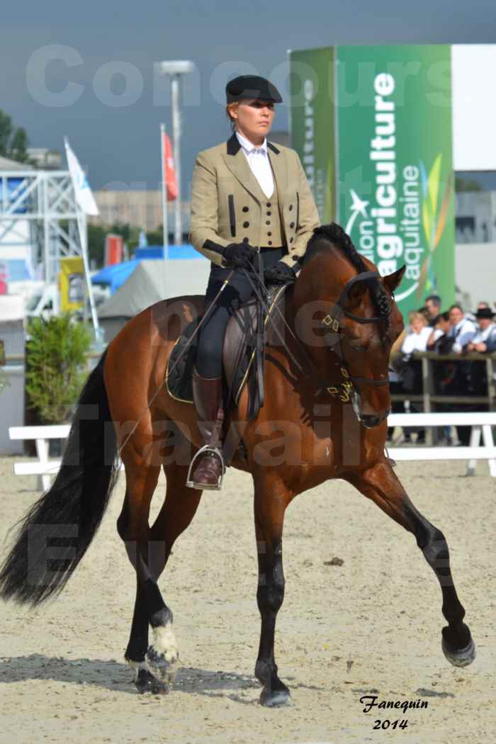 Salon Equitaine de Bordeaux en 2014 - concours Equitation de travail - Épreuve de Dressage - 10