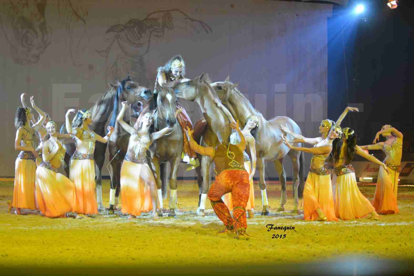 Cheval Passion 2015 - Les Crinières d'OR - Sylvie WILLMS - 11