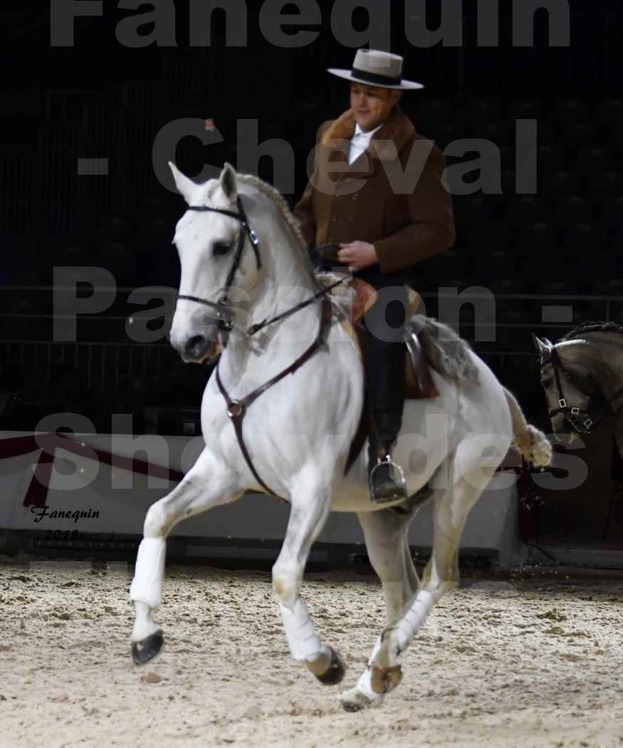 Cheval passion 2018 - Show des éleveurs - Chevaux LUSITANIEN - Tony MARTINS - Notre Sélection - 05