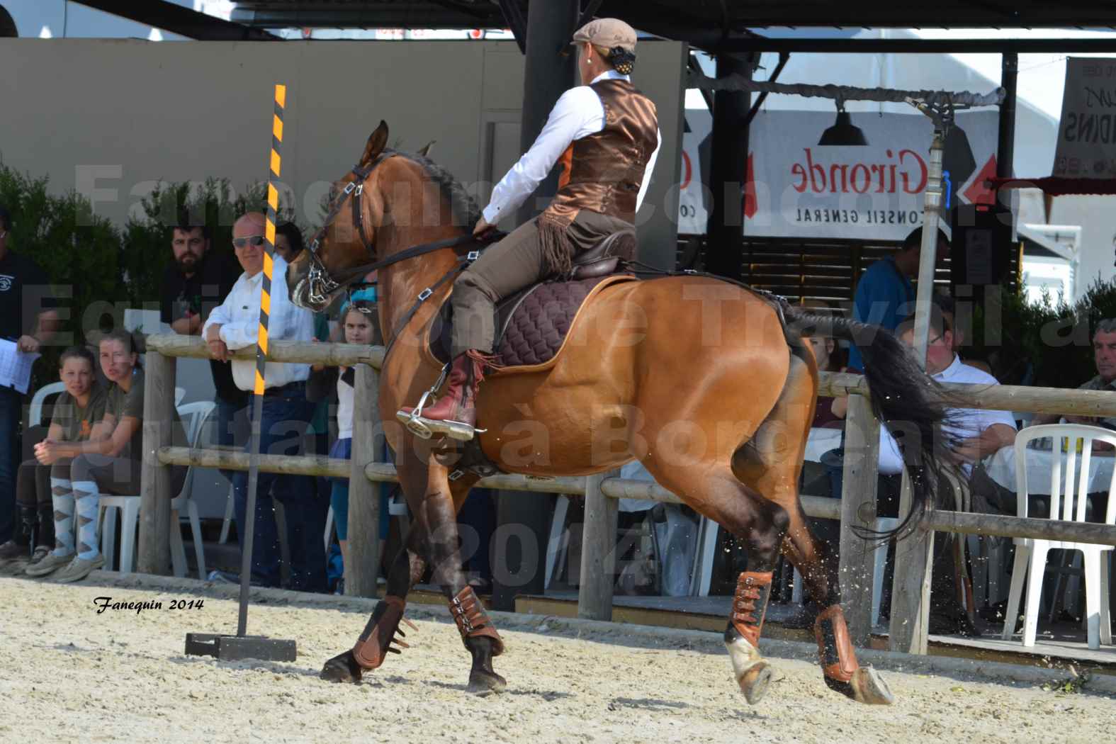 Salon Equitaine de Bordeaux en 2014 - concours Equitation de travail - Épreuve de Maniabilité chronométré - N - 03