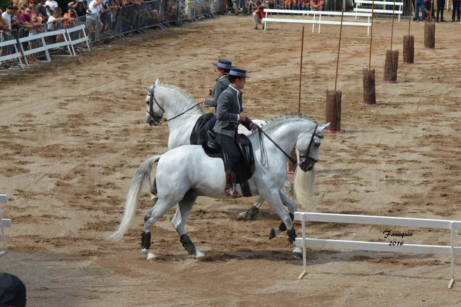 Spectacle équestre le 4 Septembre 2016 au Domaine de GAILLAC - Démonstration de CARROUSEL de chevaux LUSITANIENS - 07