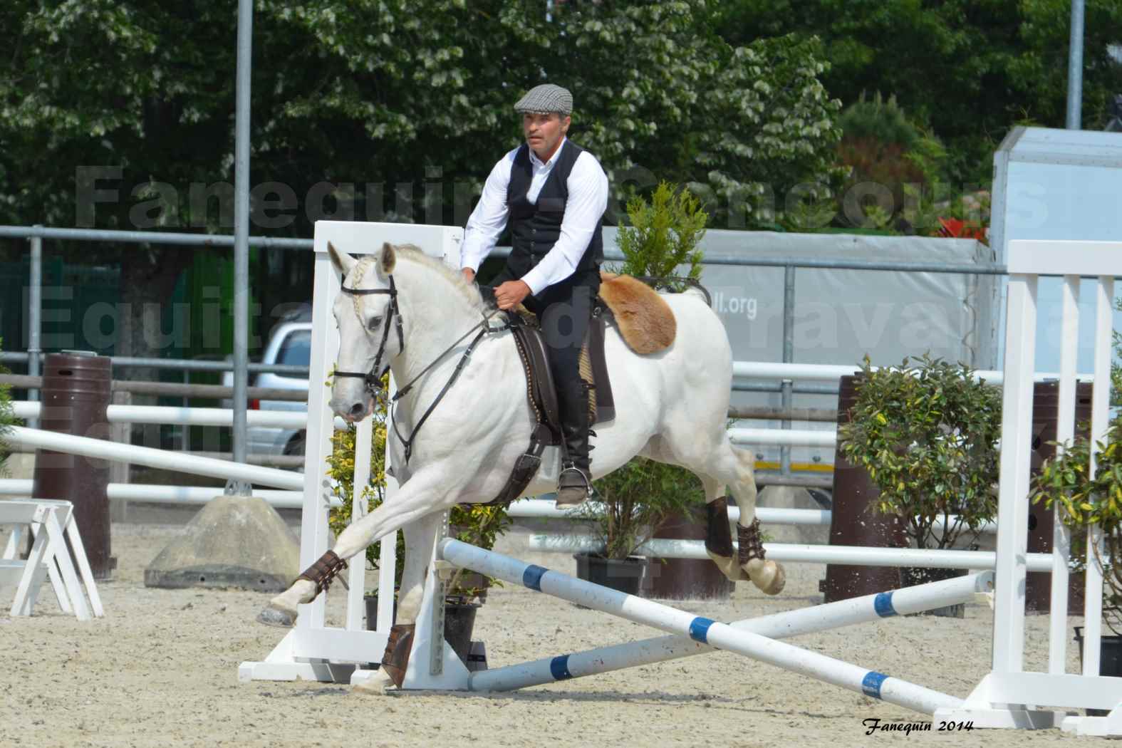 Salon Equitaine de Bordeaux en 2014 - concours Equitation de travail - Épreuve de Maniabilité chronométré - H - 09