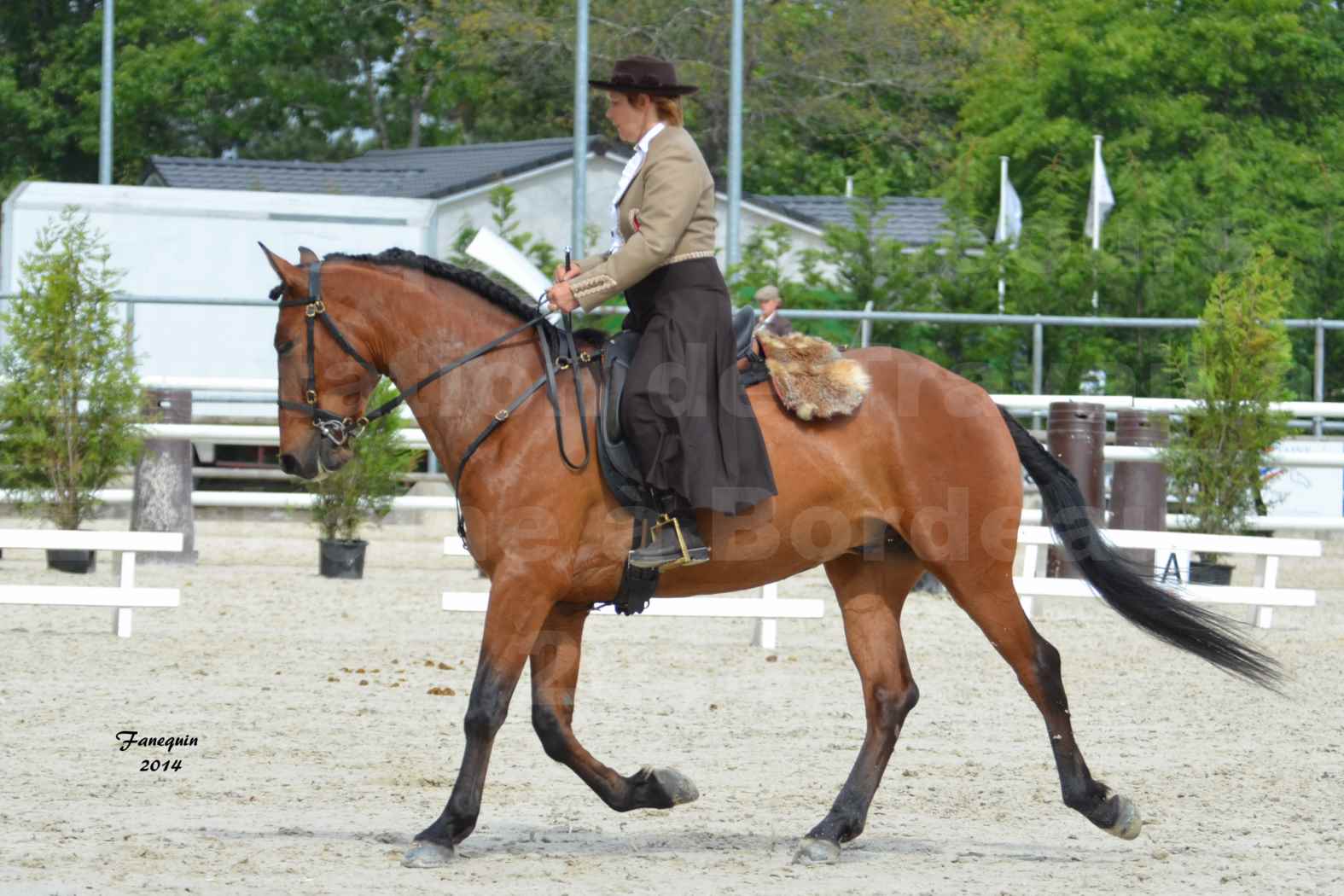 Salon Equitaine de Bordeaux en 2014 - concours Equitation de travail - Épreuve de Dressage - 1