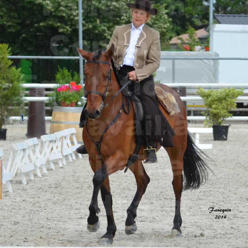 Salon Equitaine de Bordeaux en 2014 - concours Equitation de travail - Épreuve de Dressage - 4