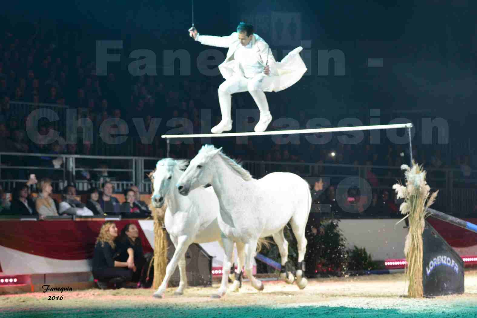 Cheval Passion 2016 - Spectacle les Crinières d'OR - LORENZO "Blanc" - représentation du 20 janvier 2016 - 05