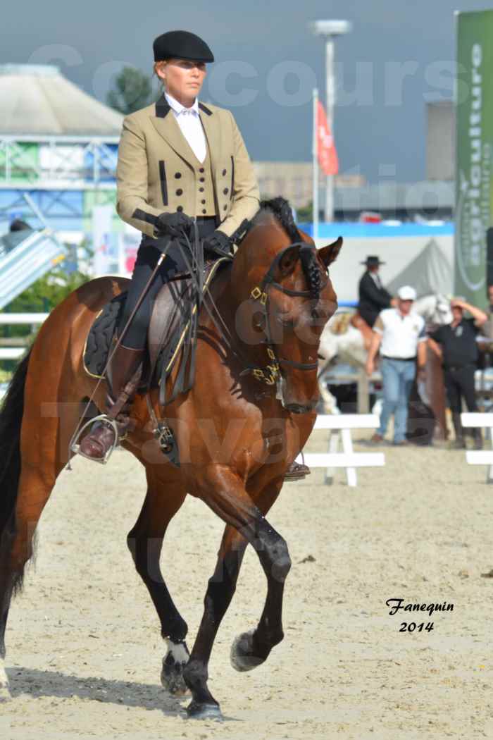 Salon Equitaine de Bordeaux en 2014 - concours Equitation de travail - Épreuve de Dressage - 09