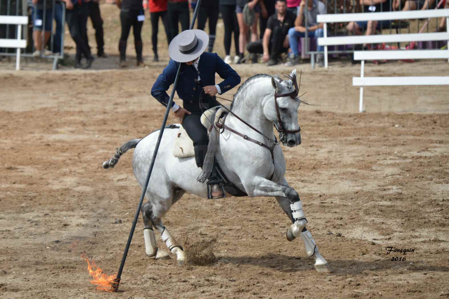 Spectacle équestre le 4 Septembre 2016 au Domaine de GAILLAC - Démonstration de Doma Vaquera - 16