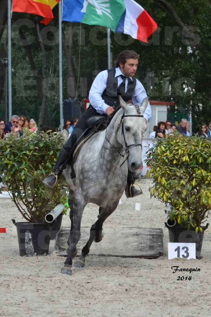 Salon Equitaine de Bordeaux en 2014 - concours Equitation de travail - Épreuve de Maniabilité chronométré - J - 5