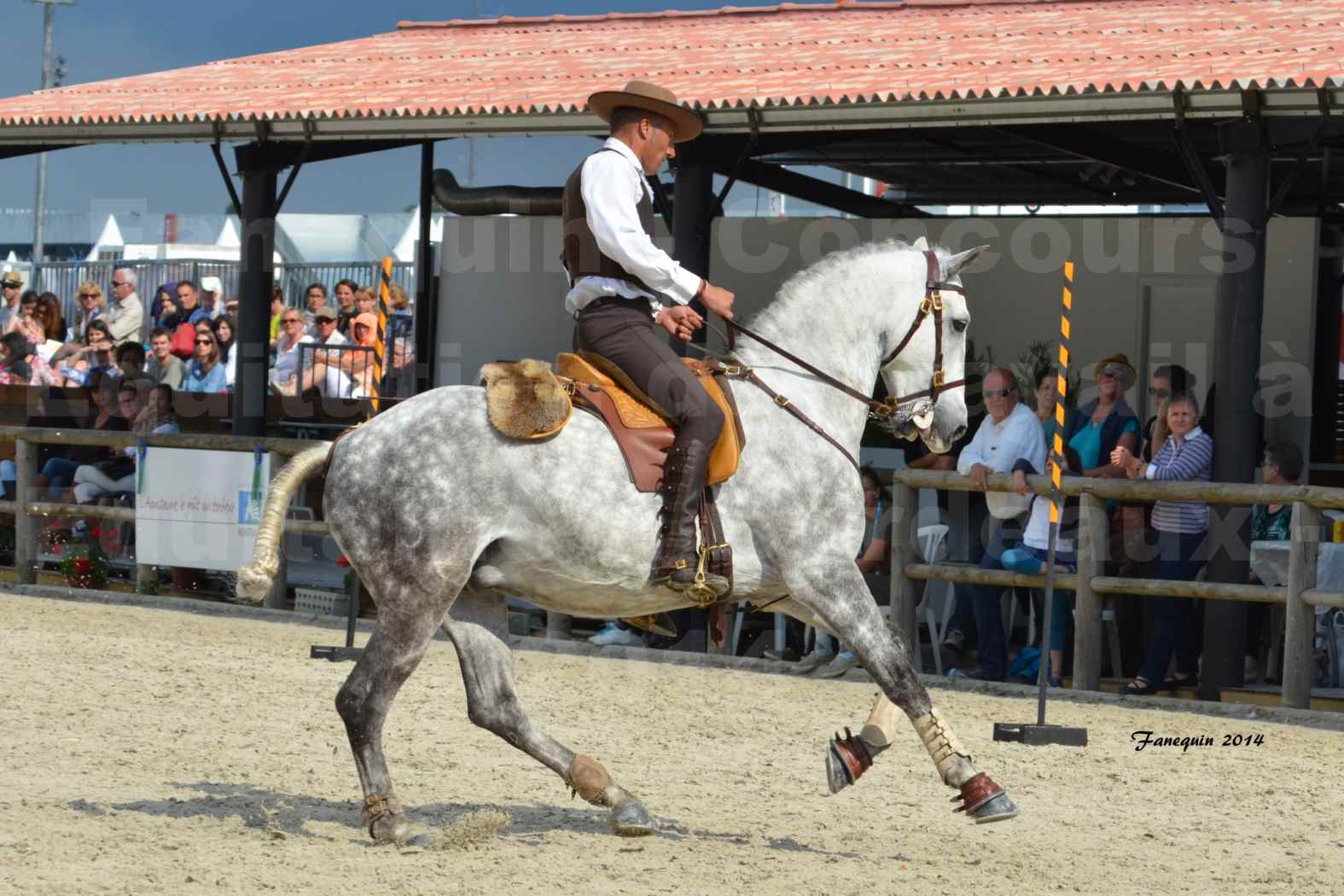 Salon Equitaine de Bordeaux en 2014 - concours Equitation de travail - Épreuve de Maniabilité chronométré - P - 18