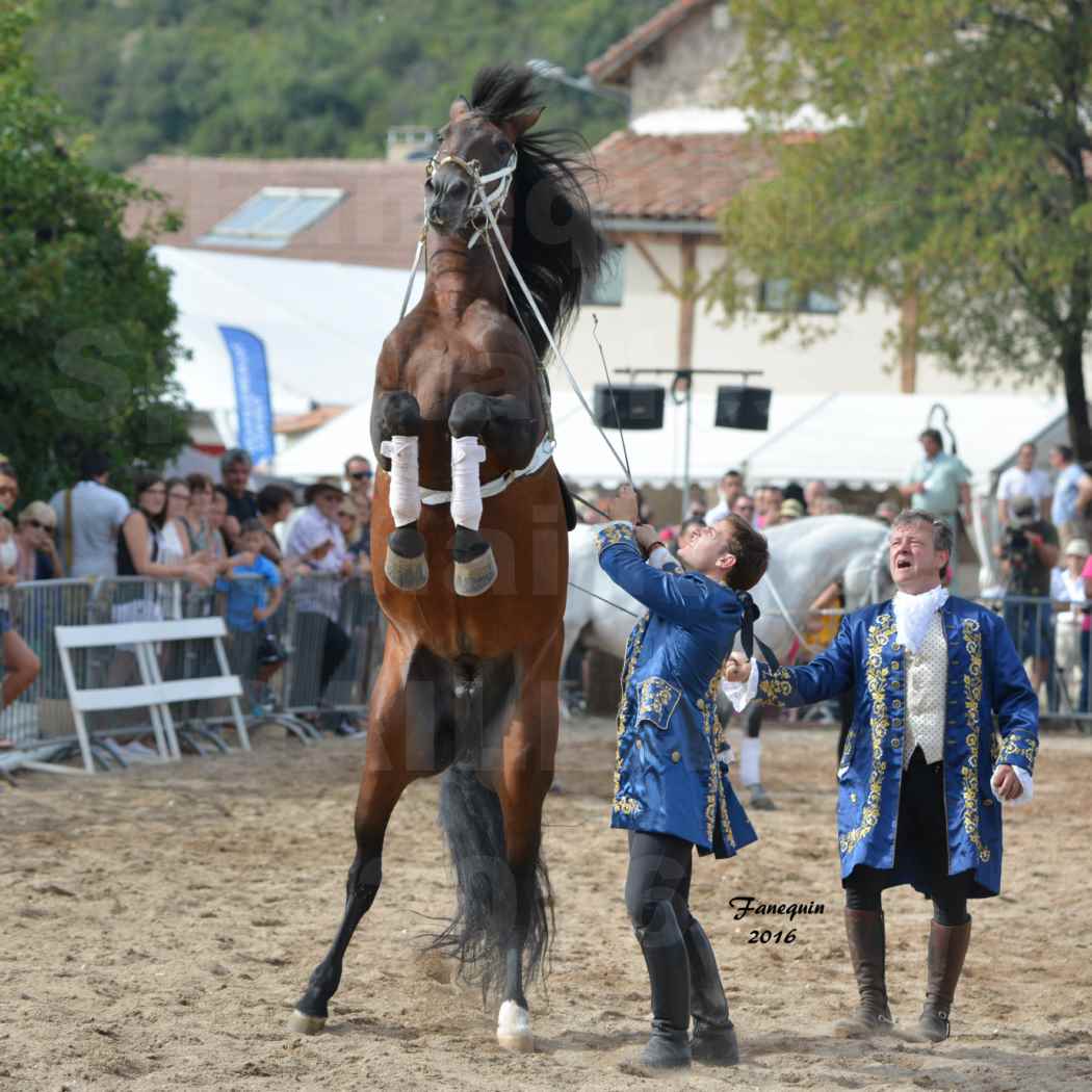 Spectacle équestre le 3 Septembre 2016 au Domaine de GAILLAC - Haute école avec la famille HASTALUEGO - 16