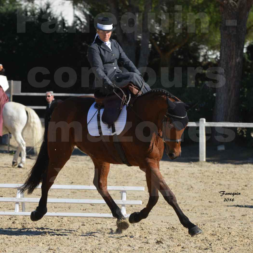 Concours Élégance d'Amazone au Haras d'UZES en Octobre 2016 - Véronique BOURGEON - 09