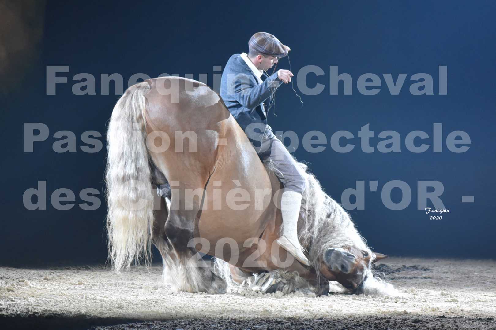 Cheval Passion 2020 - Les Crinières d'OR - Samuel HAFRAD & Jérôme SEFER - 29