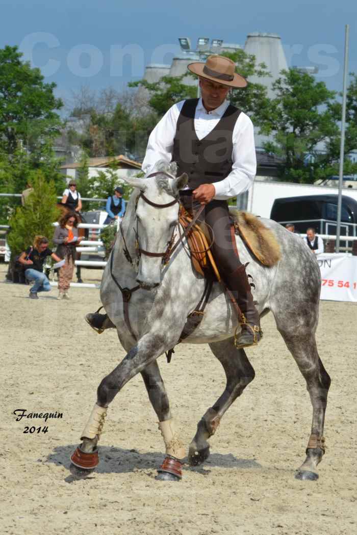 Salon Equitaine de Bordeaux en 2014 - concours Equitation de travail - Épreuve de Maniabilité chronométré - P - 07