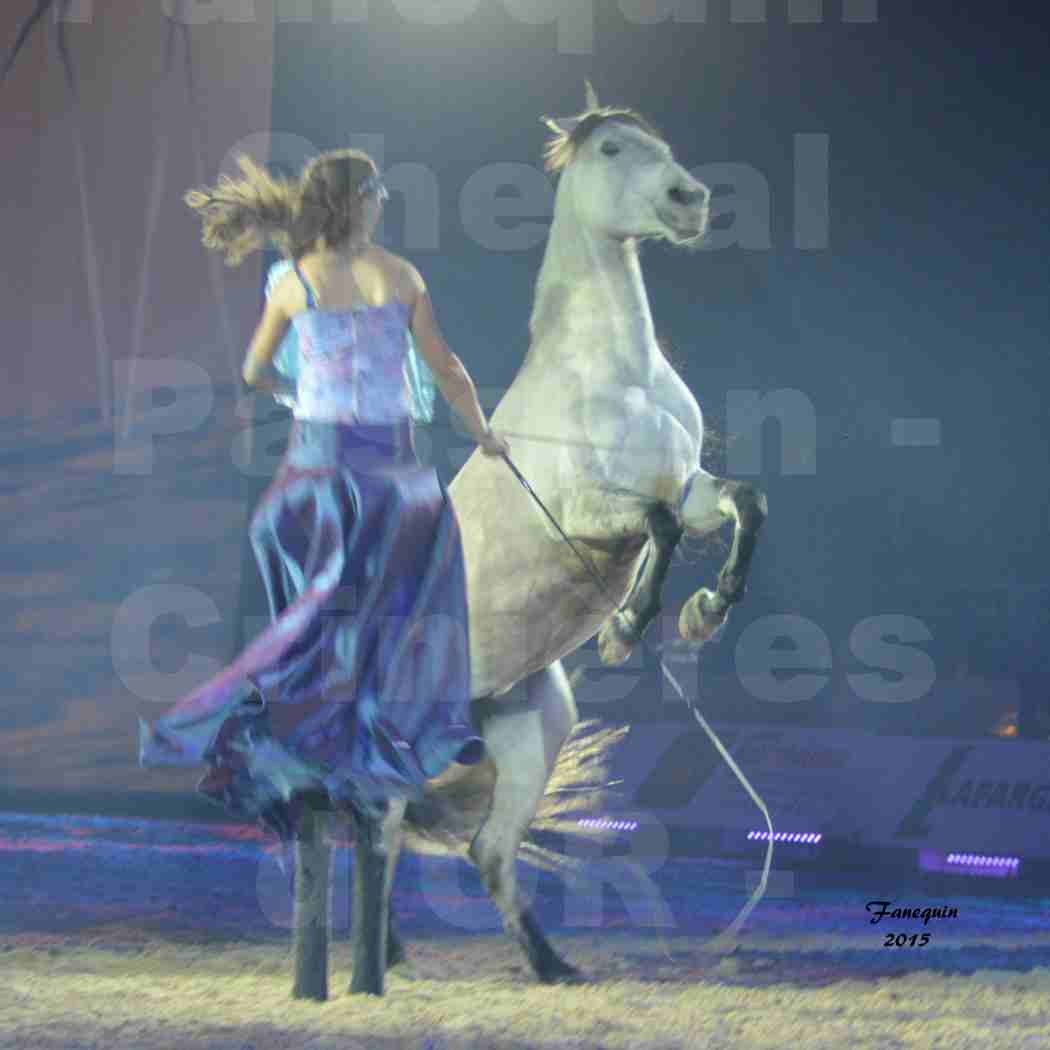 Cheval Passion 2015 - Spectacle des Crinières d'OR - Lucie VAUTHIER & 2 chevaux en liberté - 09