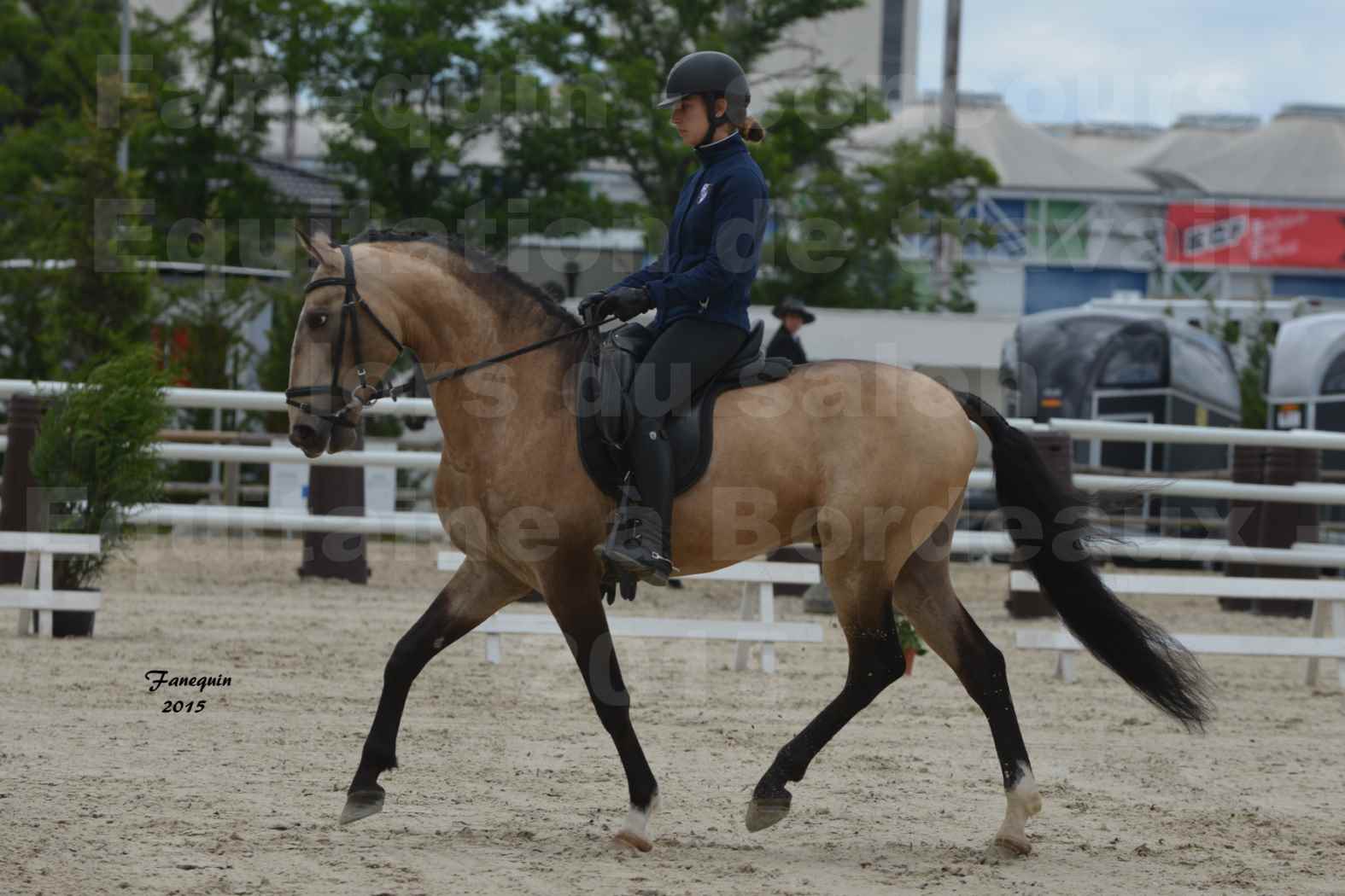 Salon Equitaine de Bordeaux 2015 - Concours d'Equitation de Travail avec chevaux Ibériques - R - 3