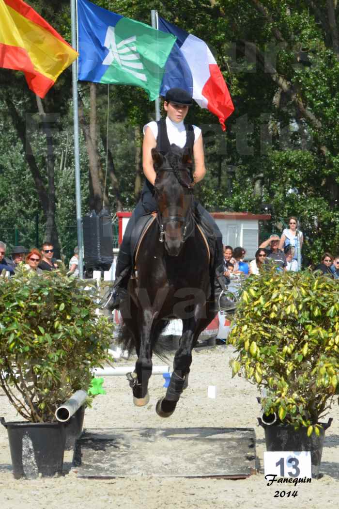 Salon Equitaine de Bordeaux en 2014 - concours Equitation de travail - Épreuve de Maniabilité chronométré - M - 16