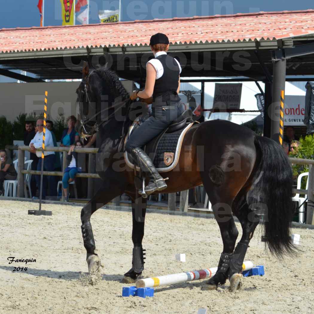 Salon Equitaine de Bordeaux en 2014 - concours Equitation de travail - Épreuve de Maniabilité chronométré - M - 07