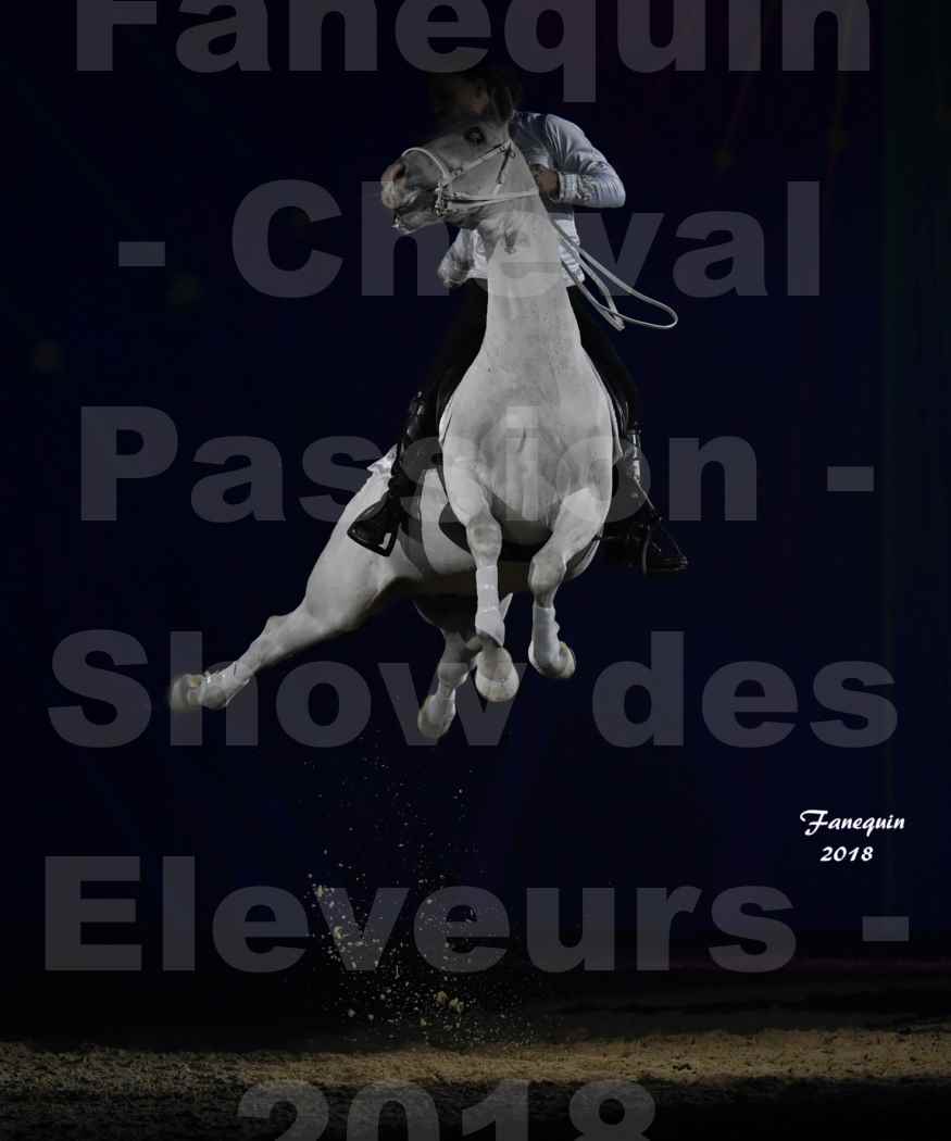 Cheval Passion 2018 - Spectacle Les Crinières d'OR 2018 - Couple & Chevaux en liberté - 1