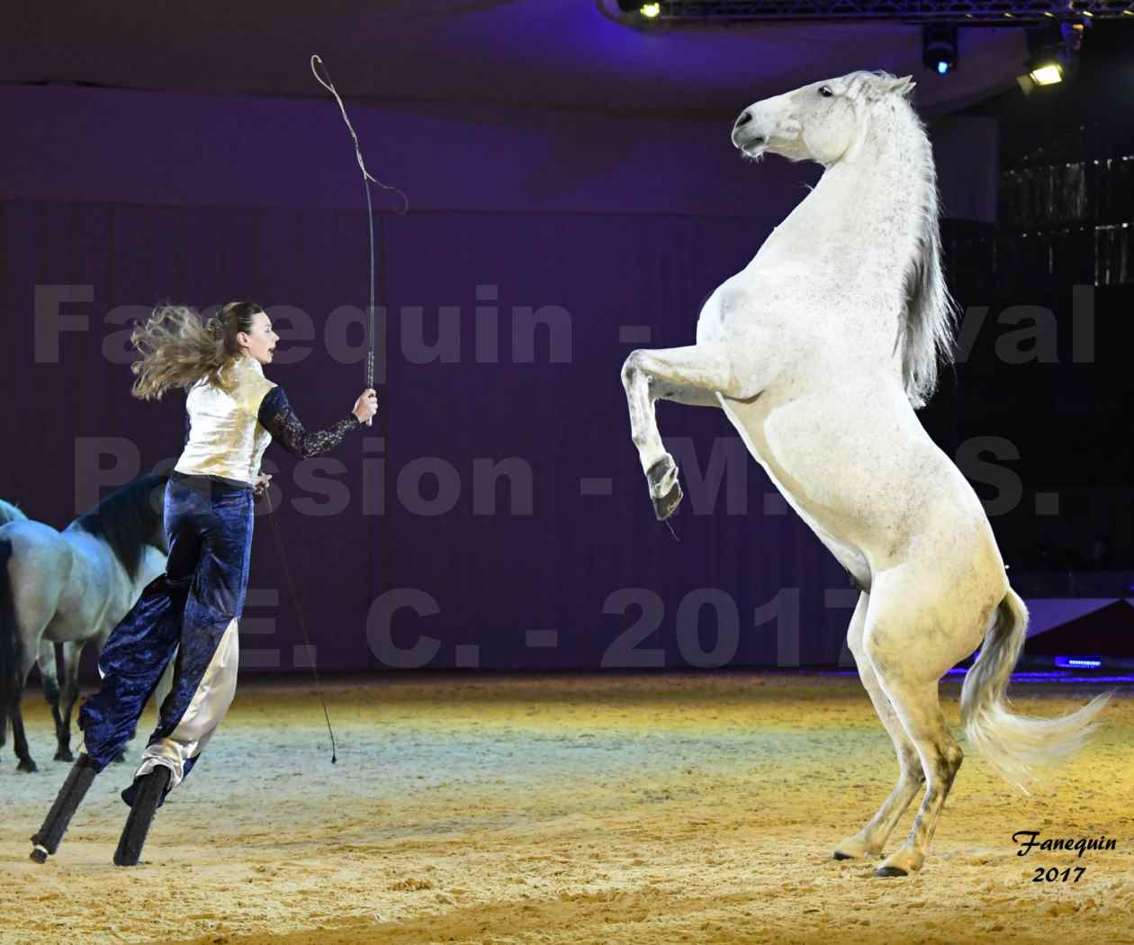 Cheval Passion 2017 - M. I. S. E. C. - Lucie VAUTHIER & 3 chevaux en liberté - 09