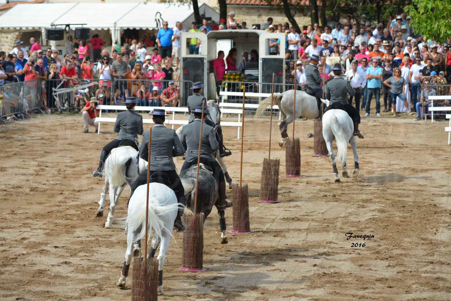 Spectacle équestre le 4 Septembre 2016 au Domaine de GAILLAC - Démonstration de CARROUSEL de chevaux LUSITANIENS - 06