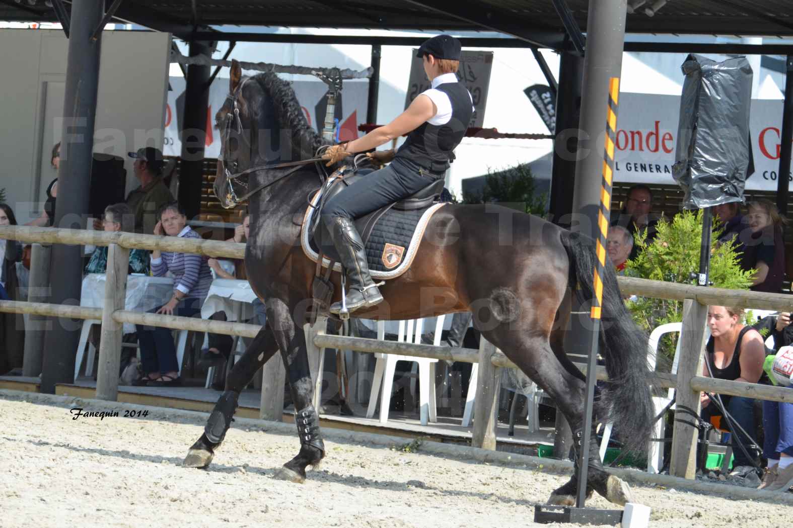 Salon Equitaine de Bordeaux en 2014 - concours Equitation de travail - Épreuve de Maniabilité chronométré - M - 02