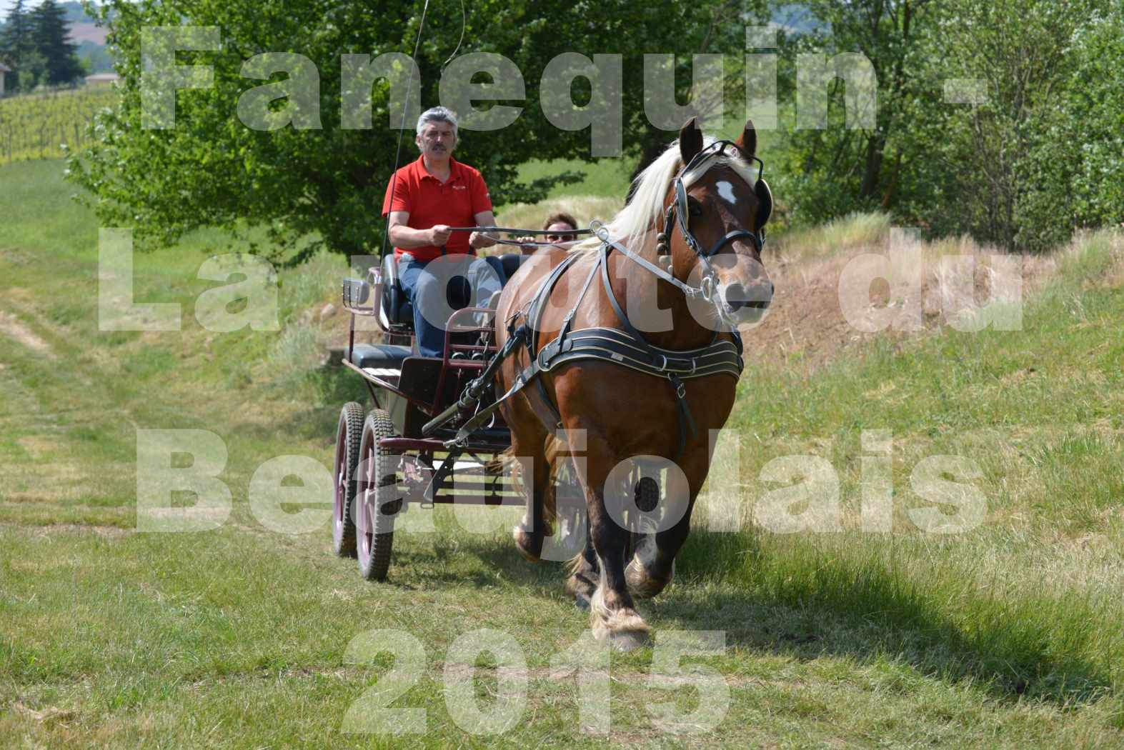 La Route Du Beaujolais 2015 - dimanche 24 mai 2015 - parcours en matinée - 78