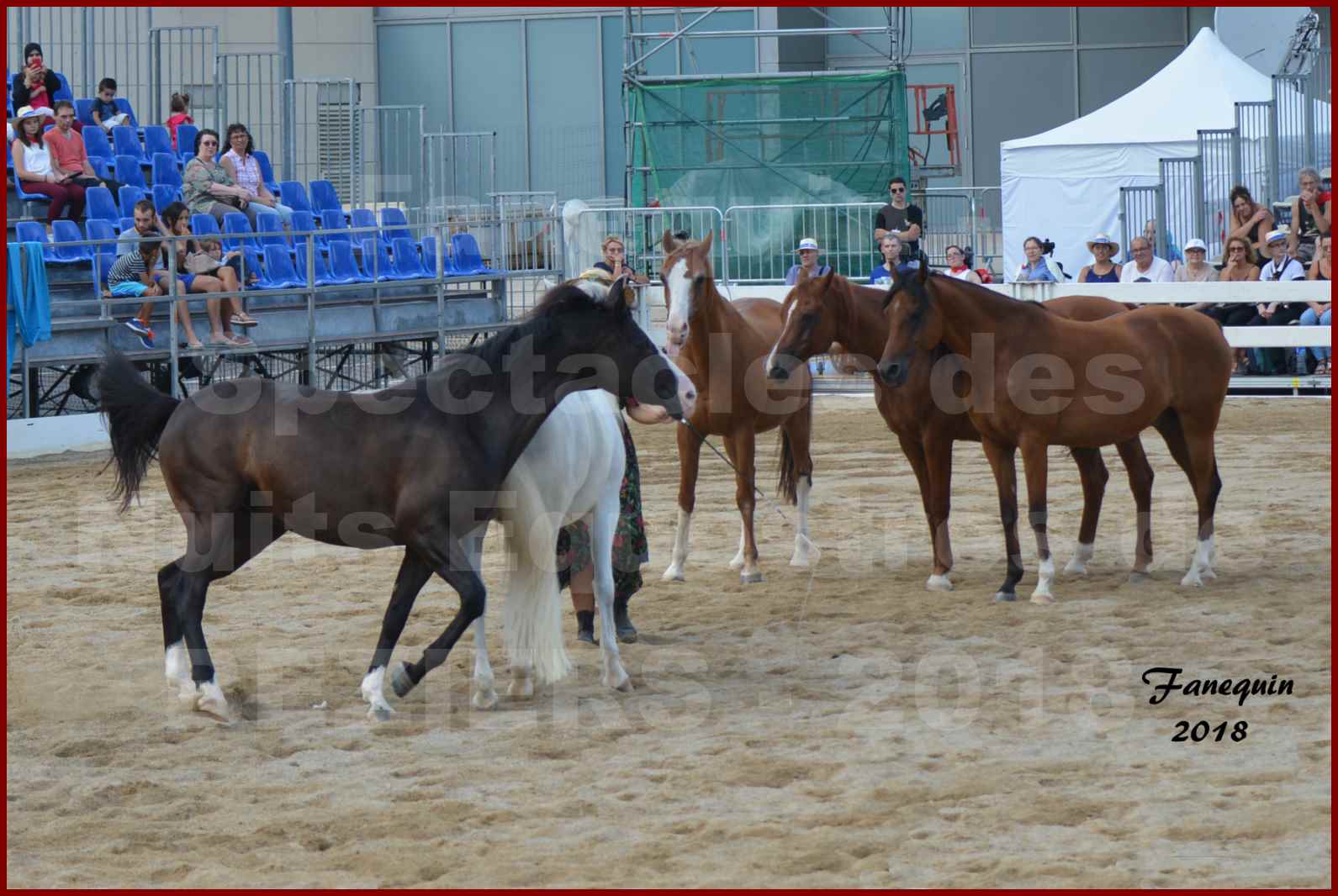 "Nuits Équestres"  de la Féria de BÉZIERS 2018 - Spectacle en journée - Sylvie WILLMS & ses chevaux en liberté - 07