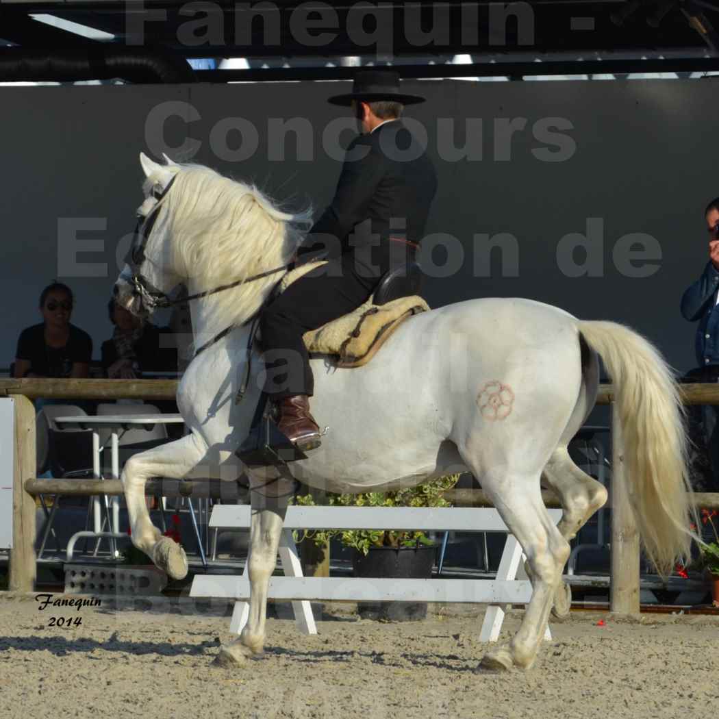 Salon Equitaine de Bordeaux en 2014 - concours Equitation de travail - Épreuve de Dressage - 08