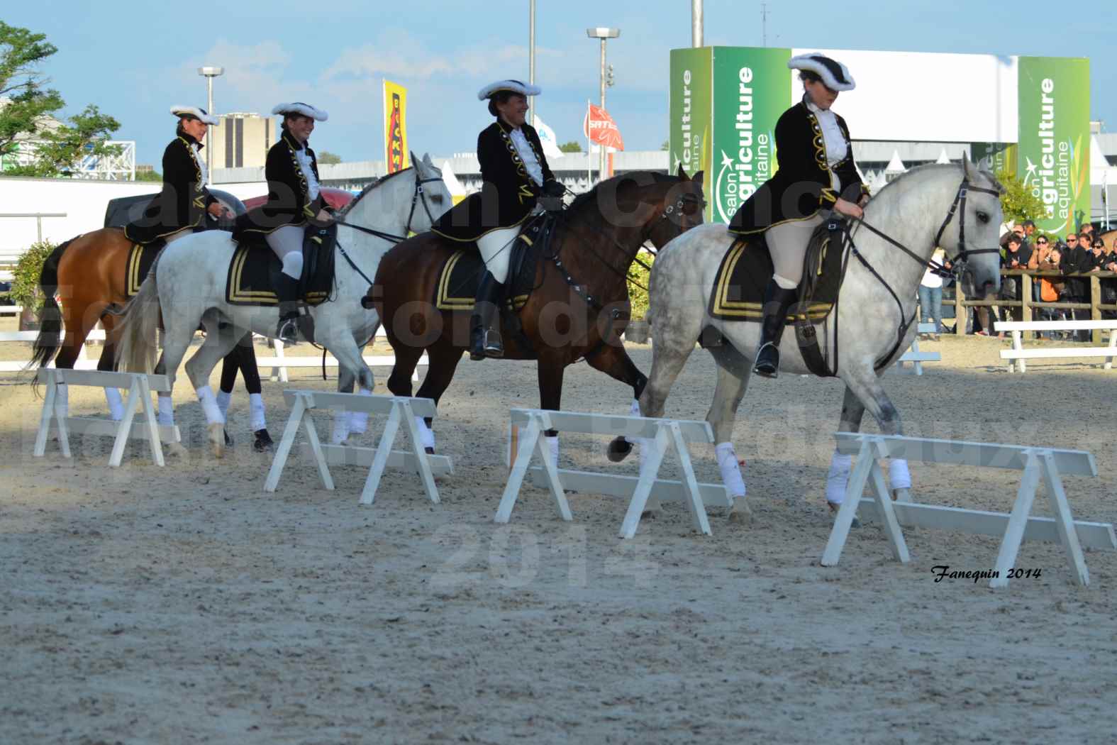 Carrousel de cavalières Equitation de travail lors du salon "Equitaine" à Bordeaux en 2014 - 61