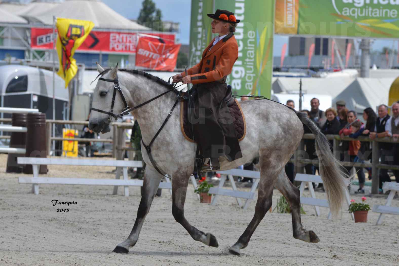 Salon Equitaine de Bordeaux 2015 - Concours d'Equitation de Travail avec chevaux Ibériques - F - 1
