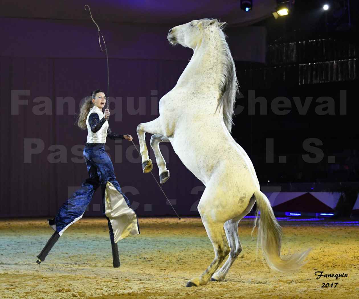 Cheval Passion 2017 - M. I. S. E. C. - Lucie VAUTHIER & 3 chevaux en liberté - 10