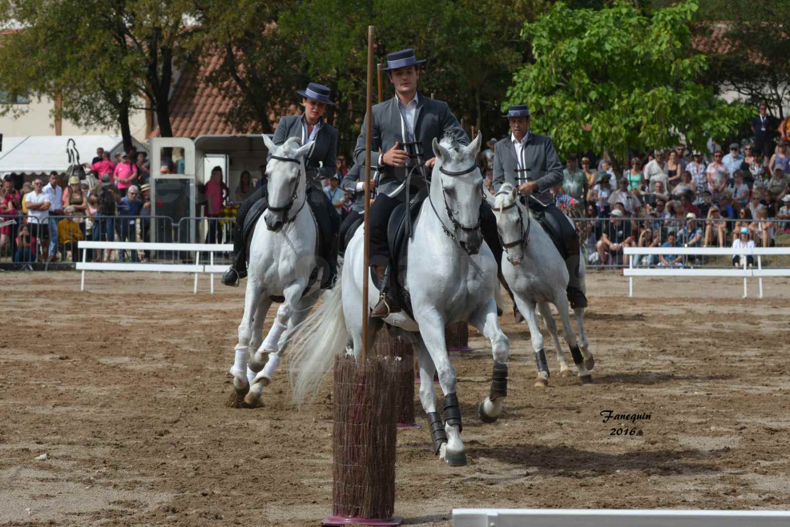 Spectacle équestre le 3 Septembre 2016 au Domaine de GAILLAC - Démonstration de CARROUSEL de chevaux LUSITANIENS - 08