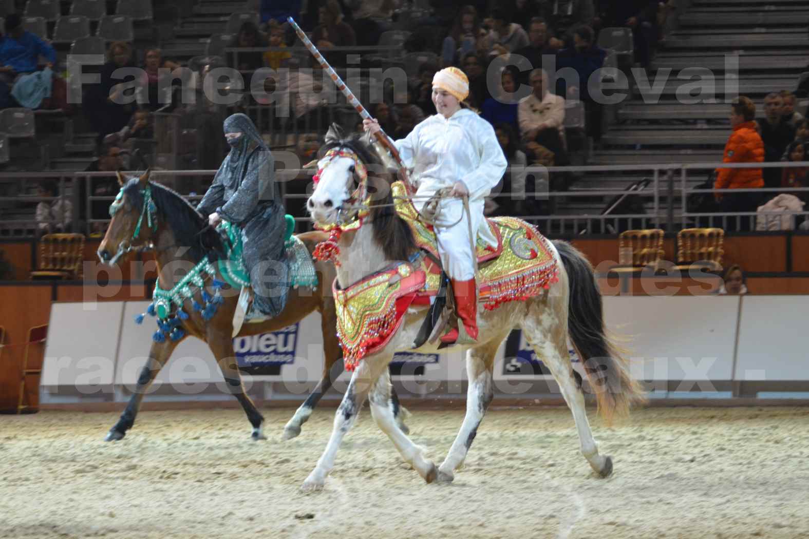 Cheval Passion 2014 - Chevaux BARBES - Notre Sélection - 11