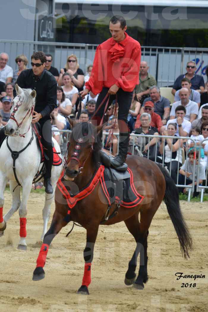 Spectacle Équestre le 3 juin 2018 à Saint Gély du Fesc - Voltige équestre - Troupe de Jean Antoine FIRMIN - 68