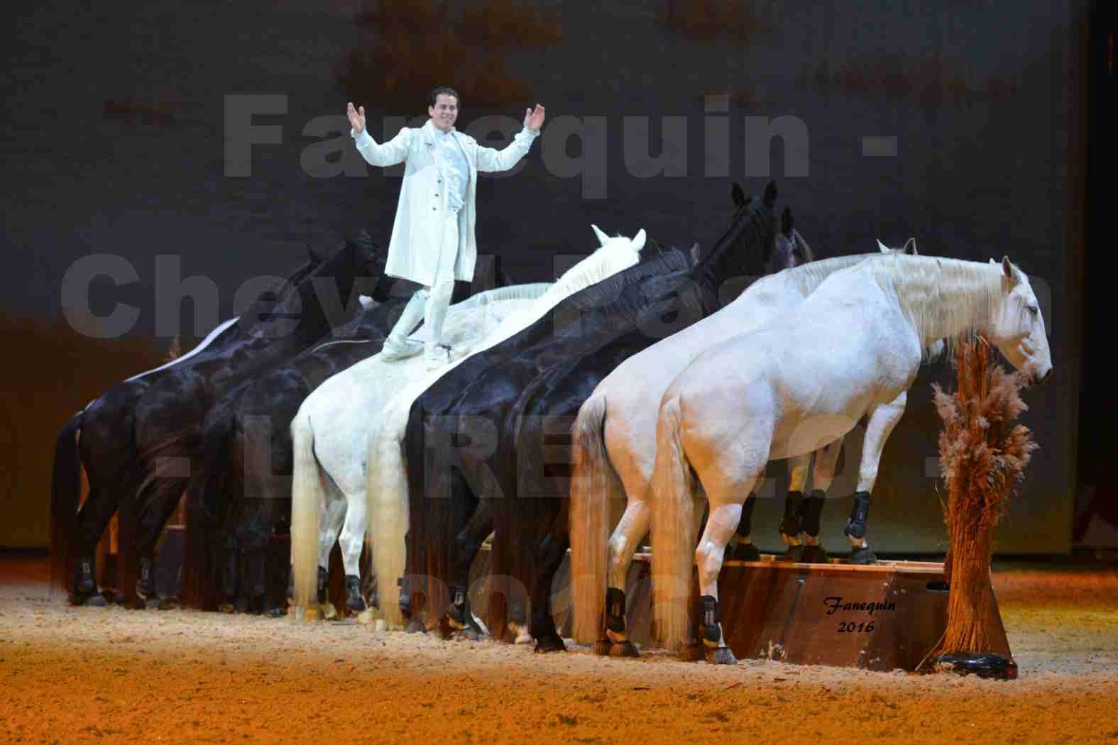 Cheval Passion 2016 - Spectacle les Crinières d'OR - LORENZO "Blanc" - représentation du 23 janvier 2016 - 42