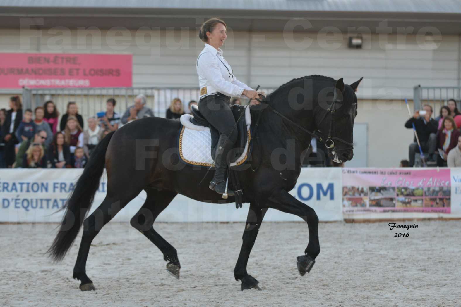 Centre équestre éphémère de la Foire de Montpellier 2016 - Samedi 15 Octobre 2016 - Nocturne - Mélanie & son PRE