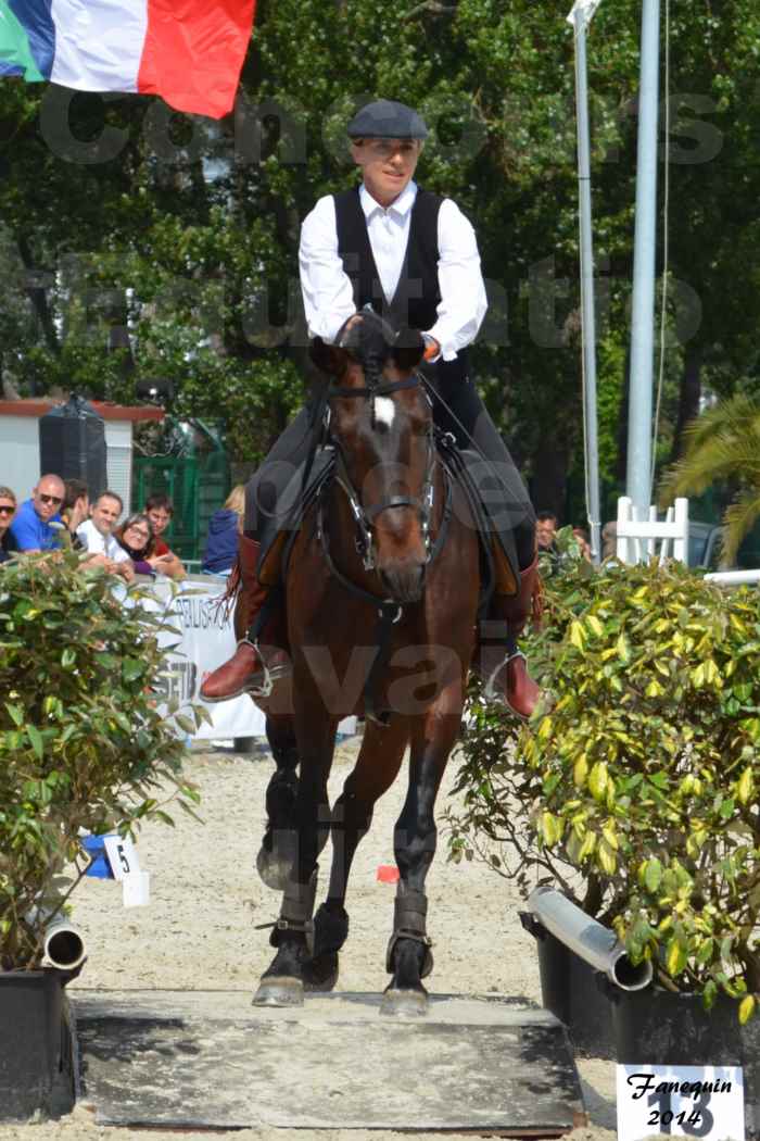 Salon Equitaine de Bordeaux en 2014 - concours Equitation de travail - Épreuve de Maniabilité chronométré - E - 10