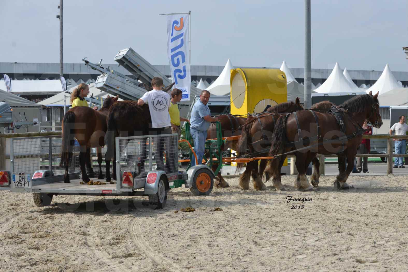 Salon Equitaine de Bordeaux 2015 - Démonstration d'attelage à 3 chevaux de front - 03