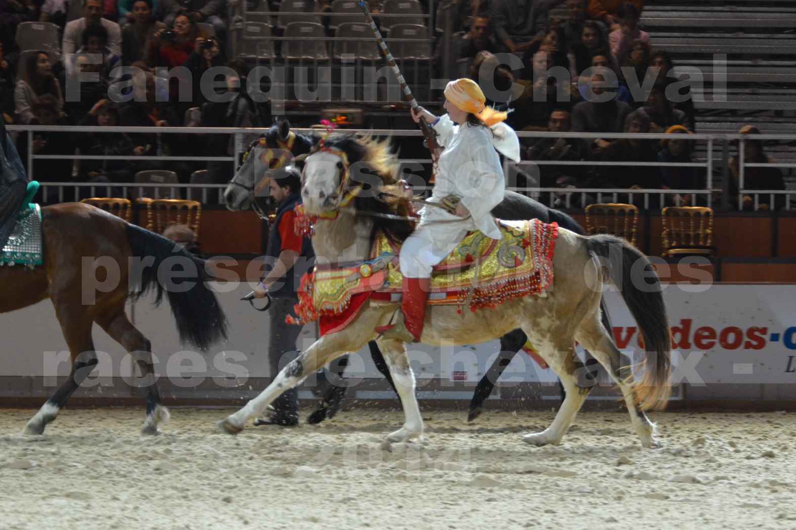 Cheval Passion 2014 - Chevaux BARBES - Notre Sélection - 09