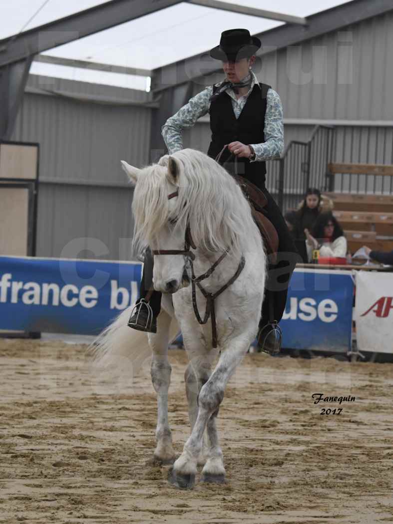 Cheval Passion 2017 - Equitation de Travail - Épreuve de dressage - Coralie NOBLE