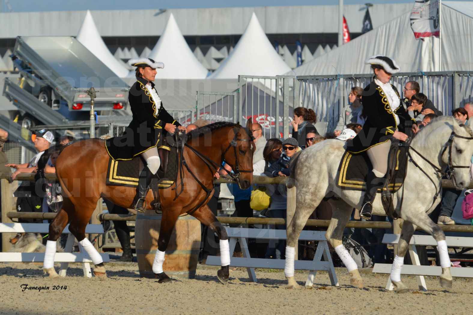 Carrousel de cavalières Equitation de travail lors du salon "Equitaine" à Bordeaux en 2014 - 27