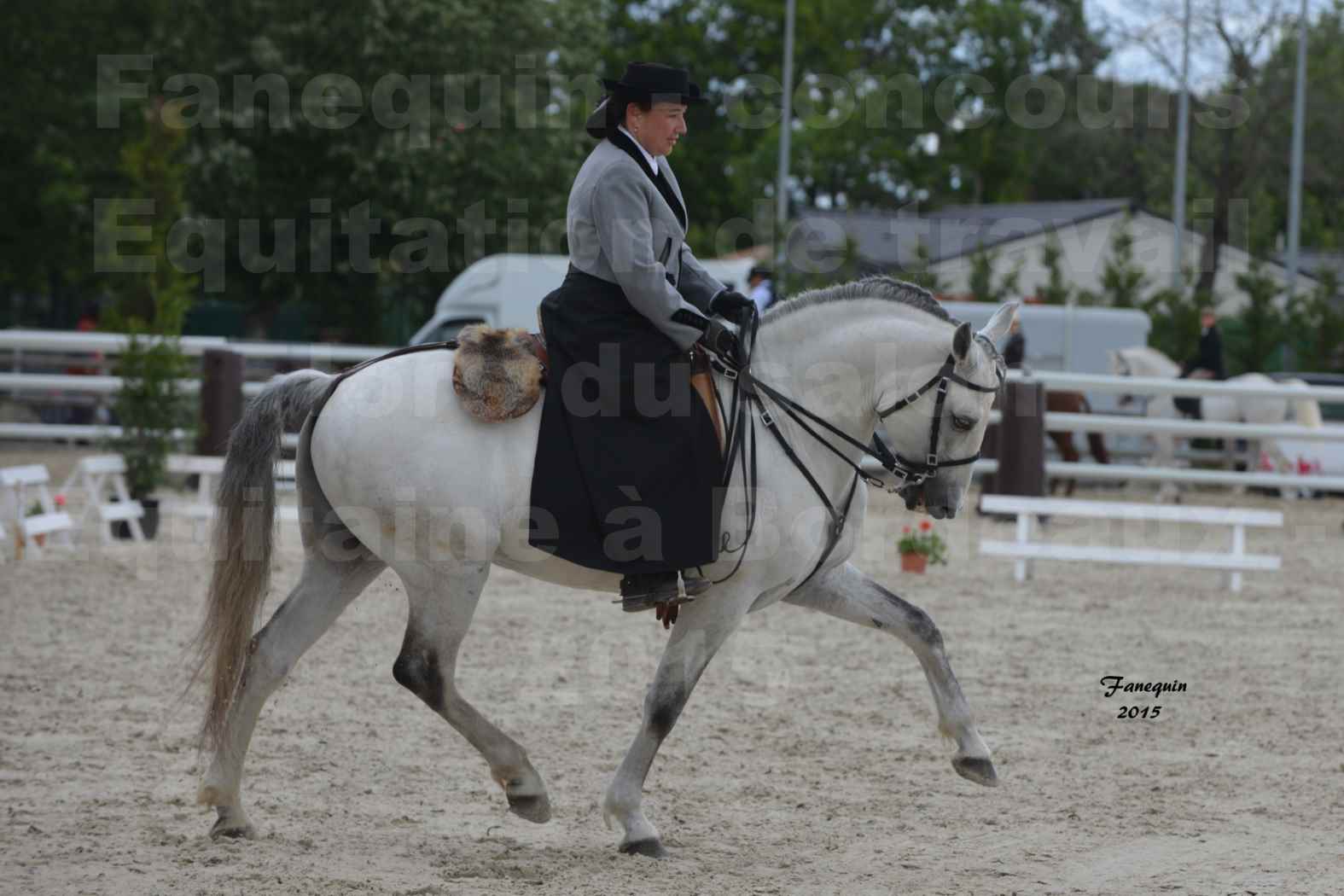 Salon Equitaine de Bordeaux 2015 - Concours d'Equitation de Travail avec chevaux Ibériques - V - 04